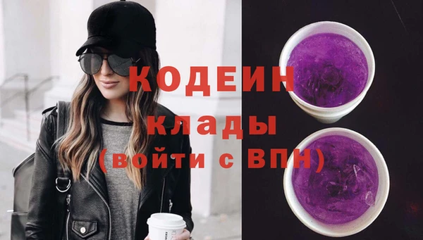 крисы Куйбышев