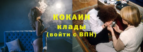крисы Куйбышев