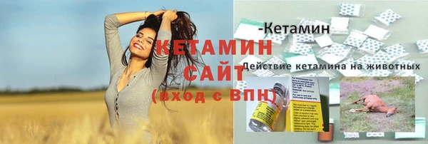 крисы Куйбышев