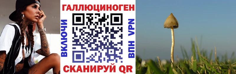 Псилоцибиновые грибы GOLDEN TEACHER  Хасавюрт 