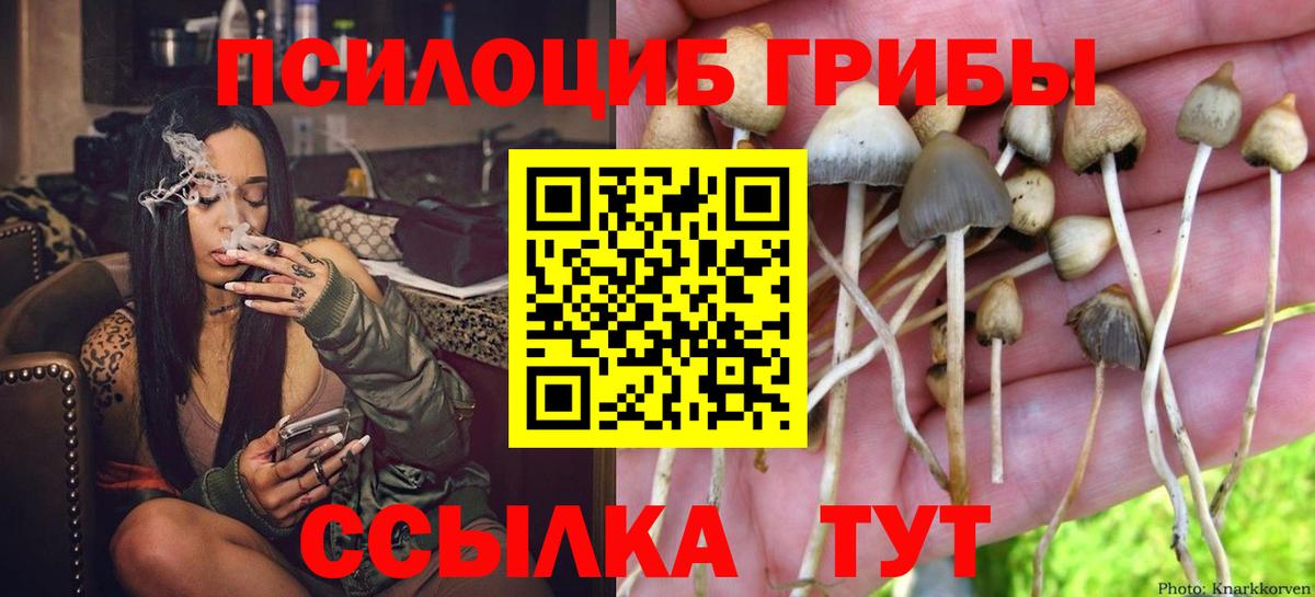 Галлюциногенные грибы мухоморы  Псилоцибиновые грибы Magic Shrooms  Хасавюрт  Вход с VPN 